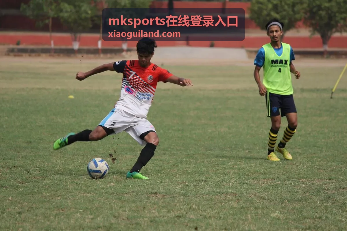 mksports在线登录入口会员训练课程内容图示