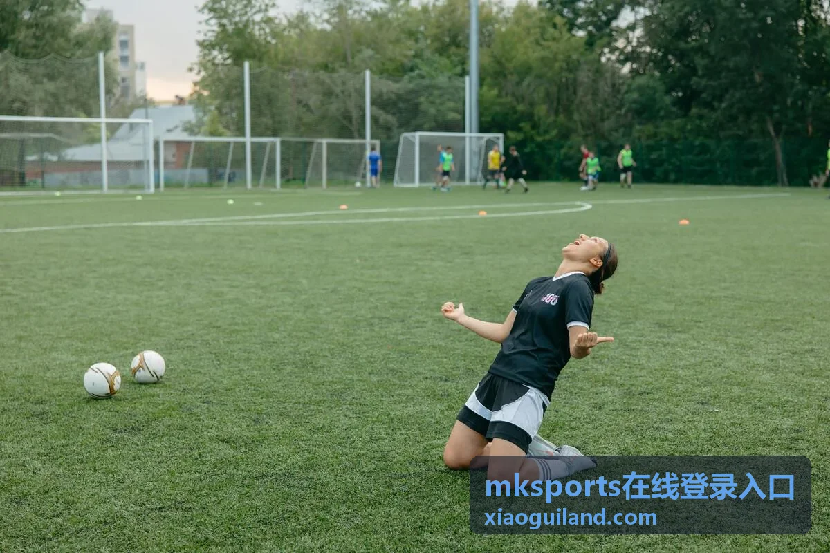 mksports在线登录入口会员赛后数据报告内容图示