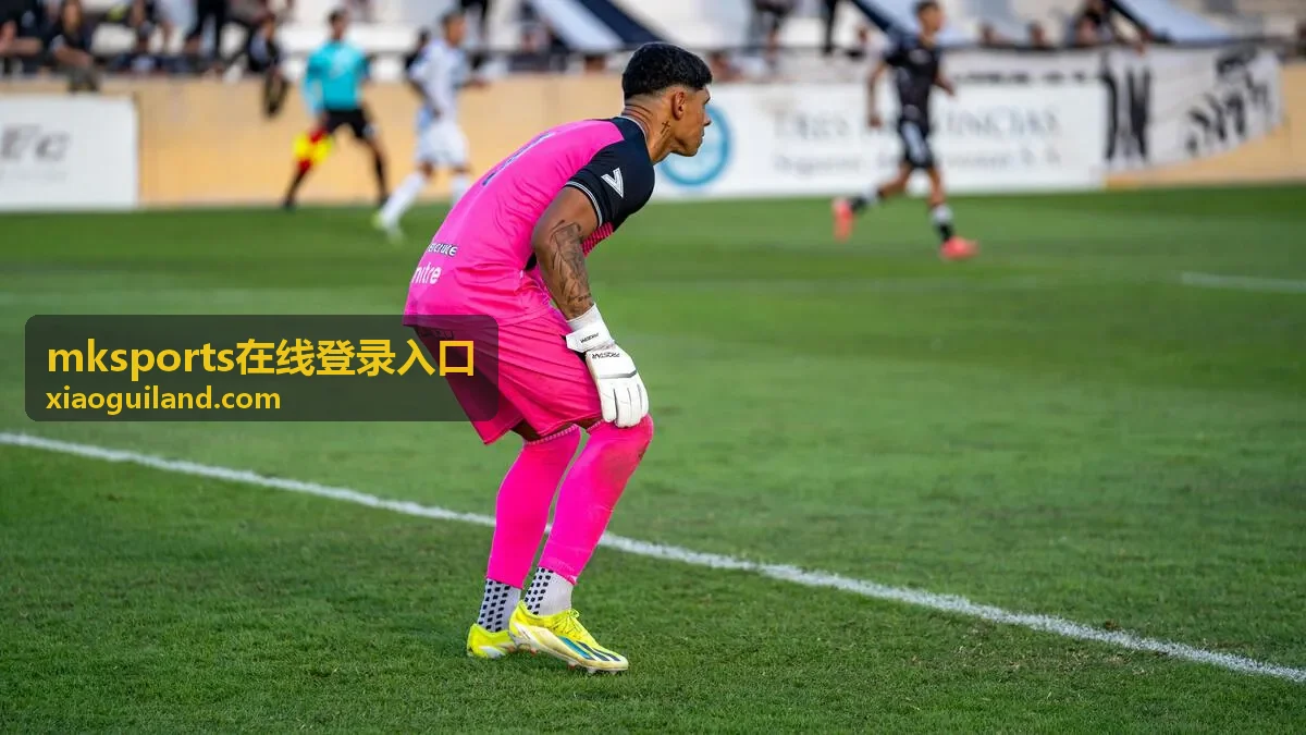 mksports在线登录入口长期会员数据报告与回放权益展示
